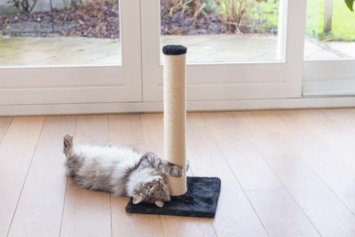 Image du produit Beeztees Mobilier pour chats (60 cm, Noir)