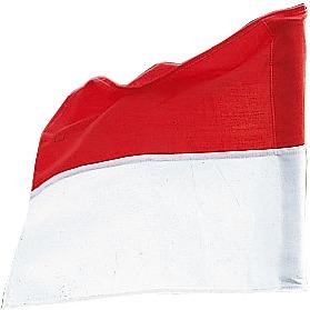 Actual product image Sport-Thieme Flag for limit rod up to ø 30 mm