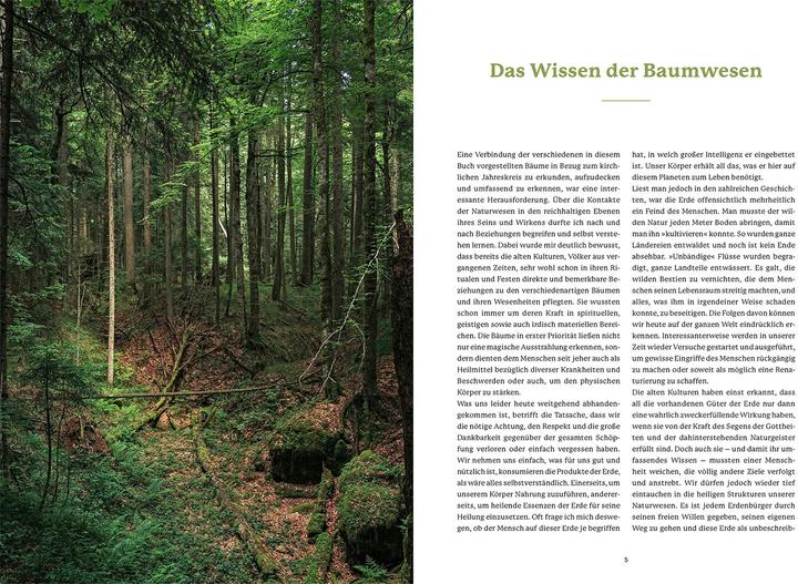 Produktbild Die Weisheit der Baumwesen (Deutsch, Silke Weiss, Sam Hess, 2024)