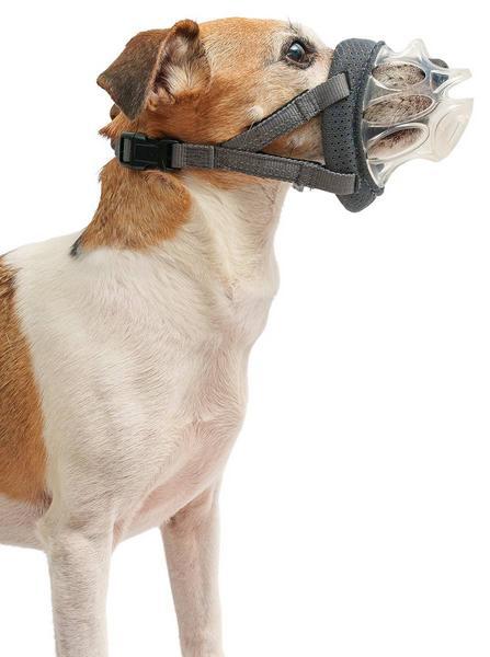 Produktbild Baskerville Maulkorb INVISA (6, Hund)