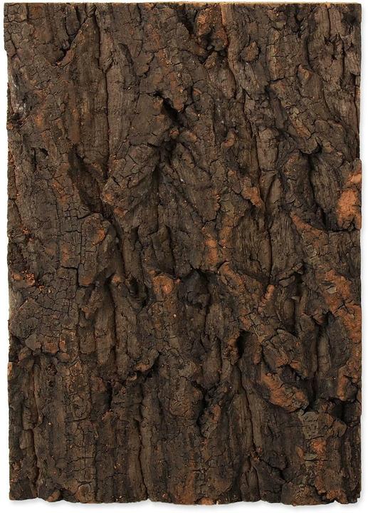 Produktbild Repti Planet Kork-Rück Wand 19 x 27.3 x 2 cm