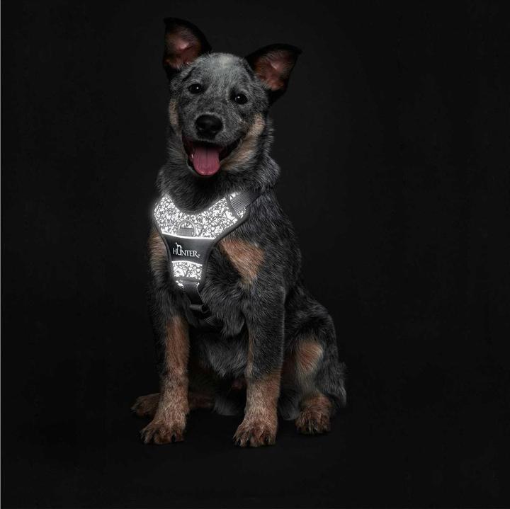 Produktbild Hunter Geschirr Divo Reflect nylonpolyester (L, Hund, Hundesport)