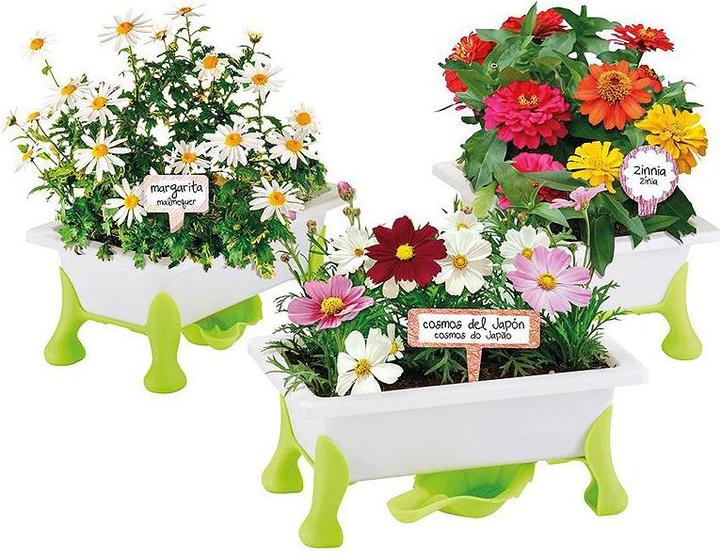 Produktbild Educa Grüner Daumen Blumen (D)