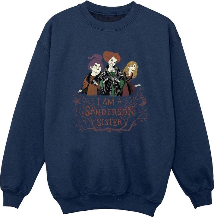 Disney Hocus Pocus Sanderson Sister Sweatshirt Jungen