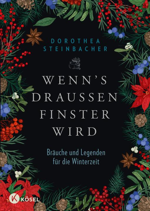 Produktbild Wenn's draussen finster wird (Deutsch, Dorothea Steinbacher, 2020)