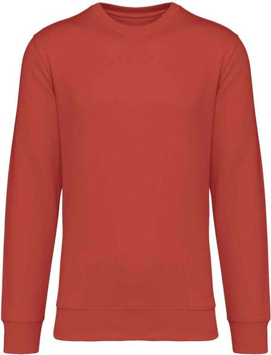 Native Spirit Sweatshirt Rundhalsausschnitt