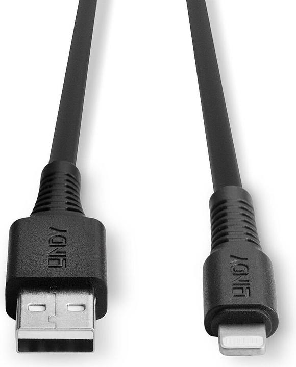 Actual product image Lindy Lightning – USB A (0.50 m, USB 2.0)