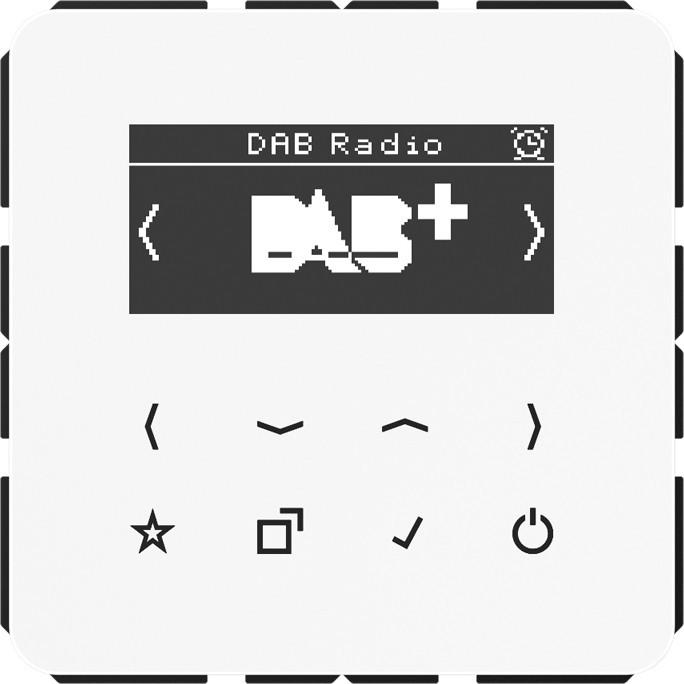 JUNG Smart Radio DABCDWW DAB+ (UKW, DAB+)