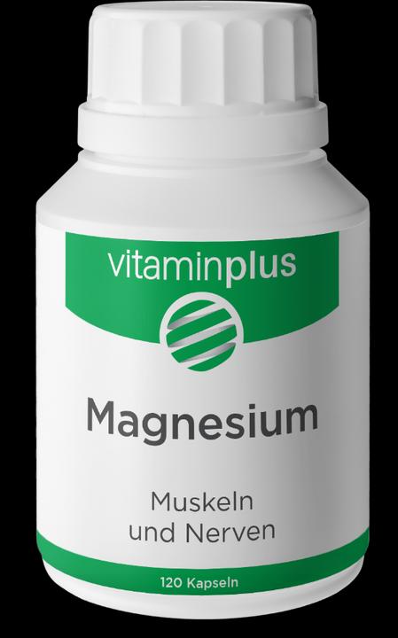 Vitaminplus Magnesium Kapsel (120 Stück, Kapseln)