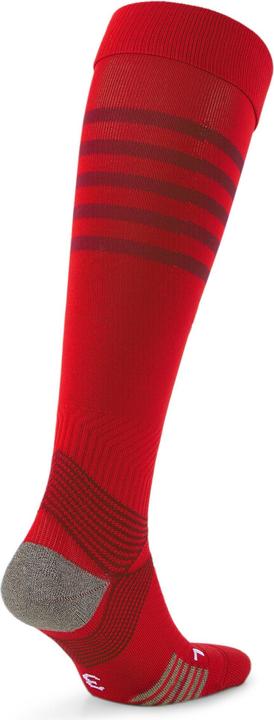 Produktbild Puma teamFINAL Socks (36)