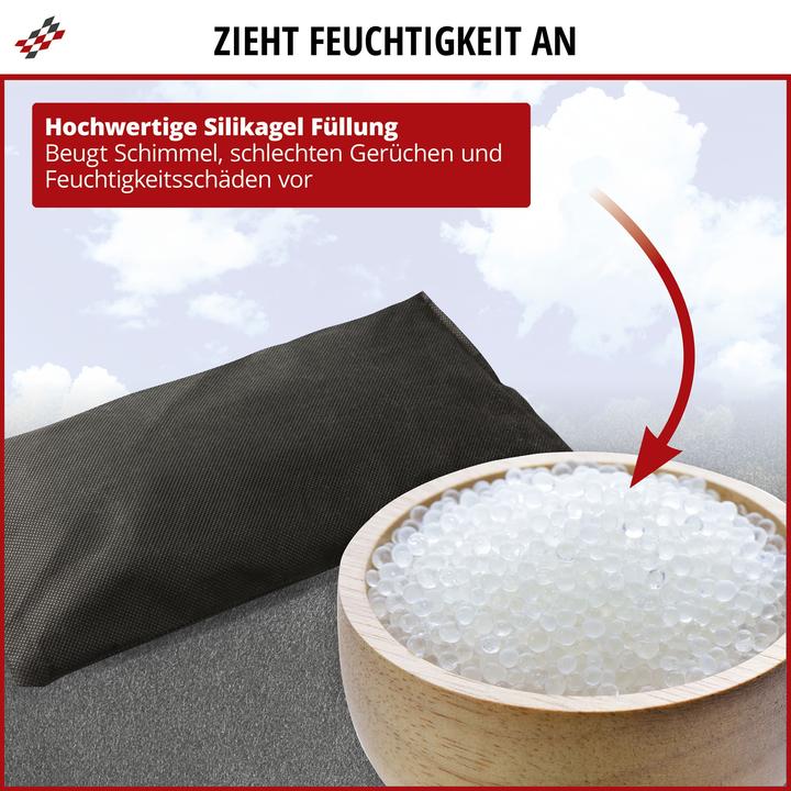 Actual product image Walser Car dehumidifier 500g 20 x 15 x 3 cm