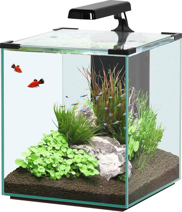 Aquatlantis AQTL Nano Cubic 40, 32,5x35,5x45cm bw (36 l)