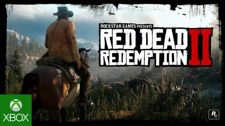 Image du produit 2K Games Red Dead Redemption 2 (Xbox One X, Xbox Series X, DE)