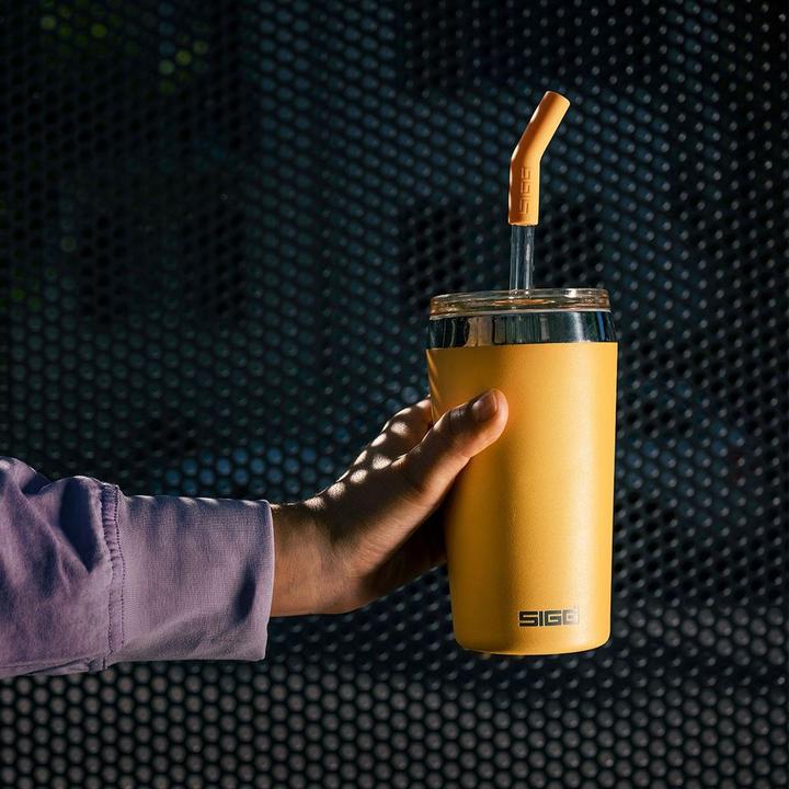 Image du produit Sigg Helia (0.45 l)