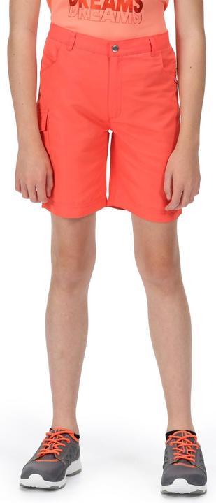 Actual product image Regatta Sorcer II Shorts (164)