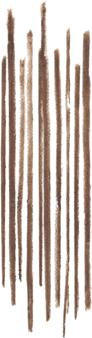 Produktbild Bobbi Brown BB Brow - Precise Brow Pencil Warm Brown (Warm Brown)