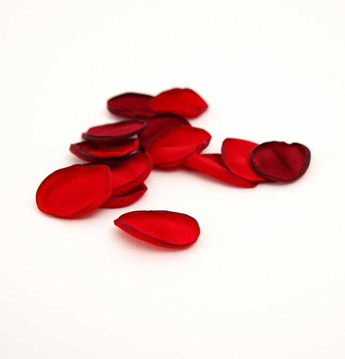 Image du produit Esmée Pétales de rose en soie