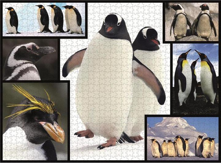 Image du produit WWF Puzzle 1000 pingouins (1000 pièces)