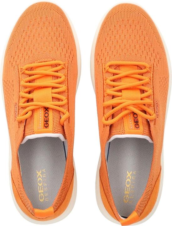 Produktbild Geox Sneaker (37)