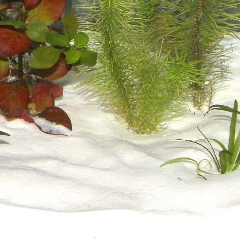Actual product image JBL Aquaristik und Terraristik Zanzibar Snow, Ø 0.1-0.6 mm, blanc, 5 kg (Embellishment, other items)