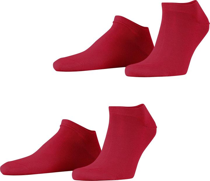 Red Pepper