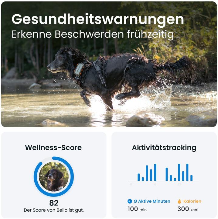 Image du produit Tractive GPS Dog (XL, Chien, Promenade, Jogging, Sport canin)