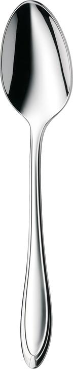 Actual product image WMF Verona (1 Piece, Scoops)