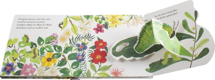 Produktbild Mein Pop-up Buch Schmetterling (Deutsch)