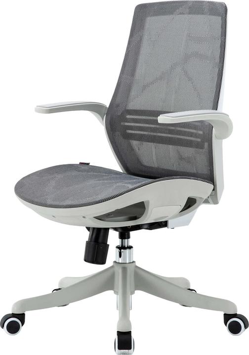 Image du produit Sihoo Chaise de bureau avec soutien lombaire