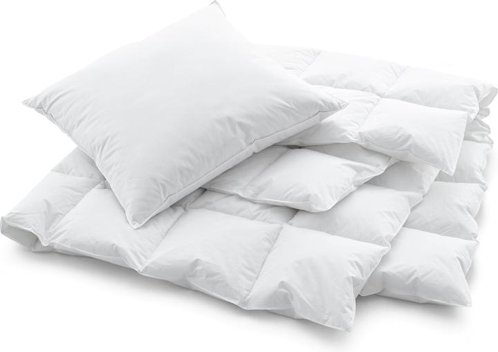 Image du produit Swiss Dream by billerbeck CLC 90 Oreiller (50 x 90 cm)