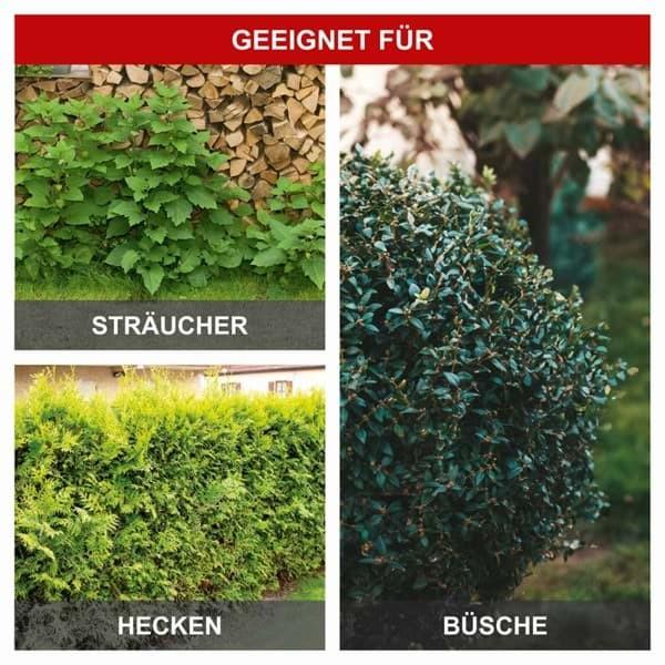 Actual product image Scheppach 1000 W electric telescopic hedge trimmer incl. shoulder strap (Electric hedge trimmer)