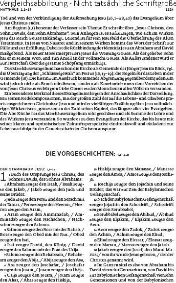 Produktbild Die Bibel (Deutsch, Österreichs Bischöfe Deutschlands, 2016)