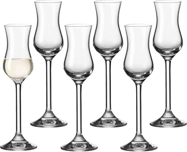 Leonardo Daily (1 dl, 6 x, Liqueur glasses + grappa glasses)