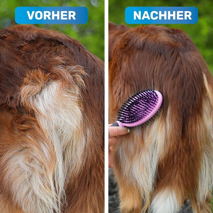 Produktbild Blue Pet Doppelseitige Hundebürste (Hund)