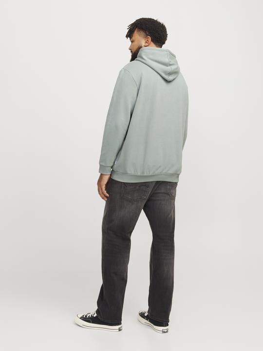 Immagine prodotto Jack & Jones Jjebradley Sweat Hood Noos Pls (6XL)