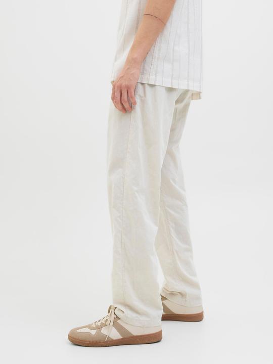 Actual product image Jack & Jones Jpstkane Jjsummer Jogger Sn (XS)