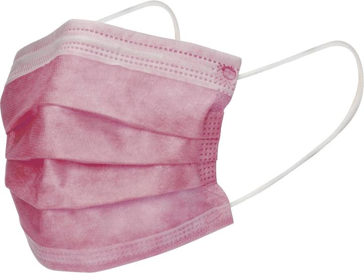 Wero Swiss Hygienemaske (Typ IIR, 20 x)