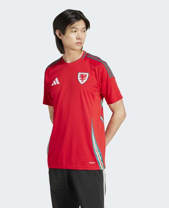 Actual product image adidas Wales Jersey (L)