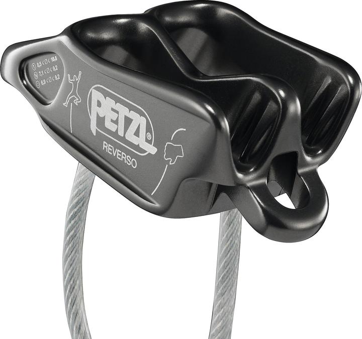 Actual product image Petzl Reverso