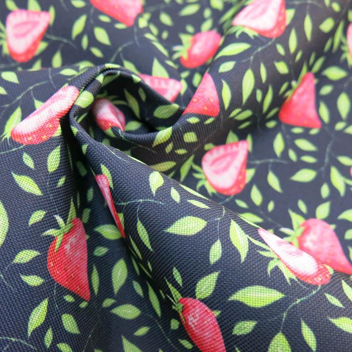 Produktbild Stoffrestposten Canvas Blachenstoff - Süsse Erdbeeren