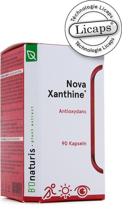 Actual product image Novaxanthine Astaxanthin (90 Piece, Capsules, 94 g)