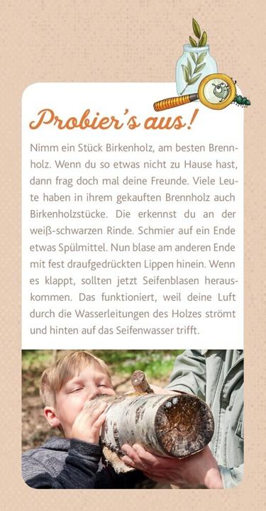 Produktbild Peter & Piet. Meine grossen Waldexperimente (Spiel) (Deutsch, Peter Wohlleben, 2019)