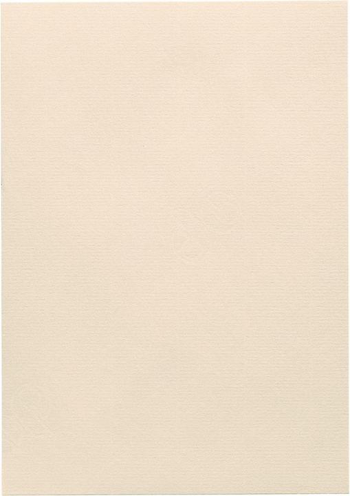 Produktbild Artoz 1001 A4 220g ivory 5 Kartons (220 g/m², 5 x)