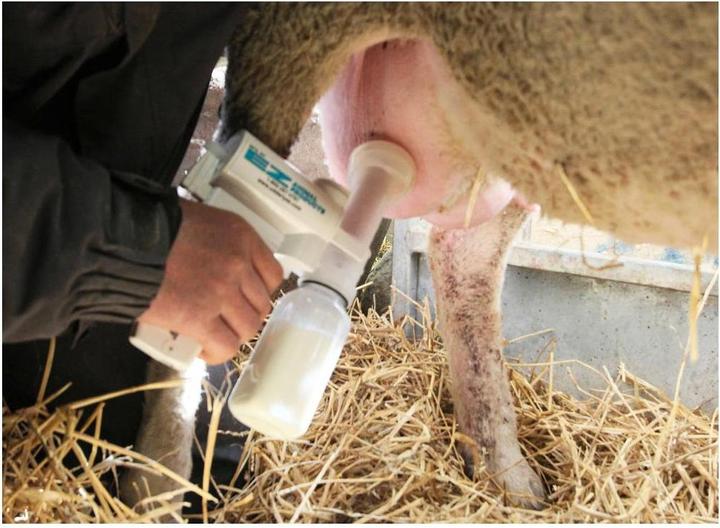 Produktbild Kerbl Melkpumpe f. Schafe im Zubehörset