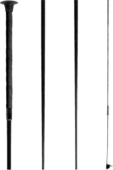 Image du produit Waldhausen Cravache de dressage équitation