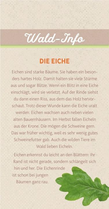 Produktbild Peter & Piet. Meine grossen Waldexperimente (Spiel) (Deutsch, Peter Wohlleben, 2019)