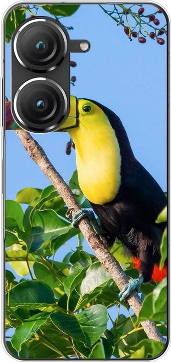 Tucan