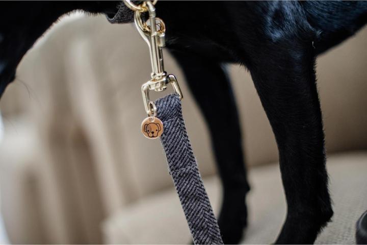 Produktbild Kentucky Dogwear Hundeleine Wool 120 cm (Hund, Hundesport)