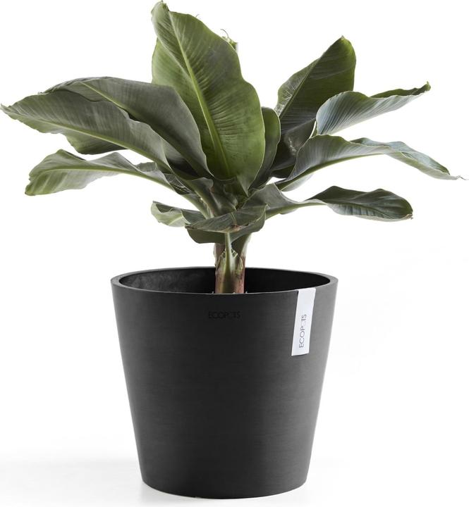Produktbild Ecopots Amsterdam (30 cm)