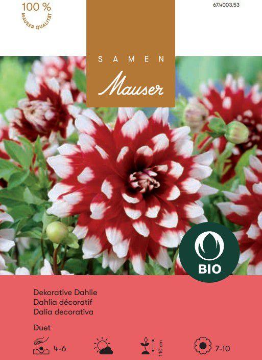 Produktbild Samen Mauser BIO Dekorative Dahlie Duet (Blumenzwiebel)